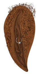 Vulva com piercing